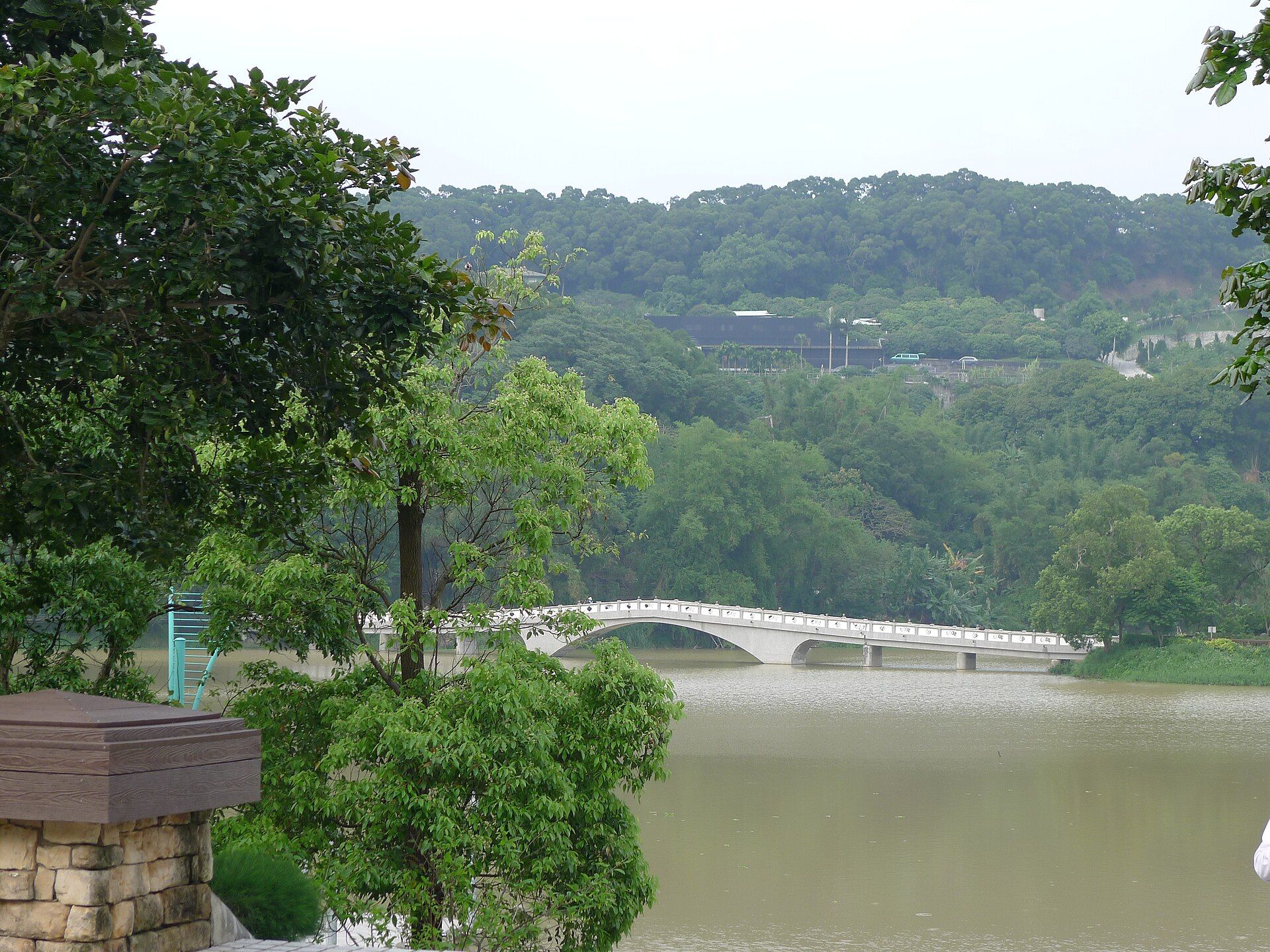 樹林間眺望青草湖映月橋